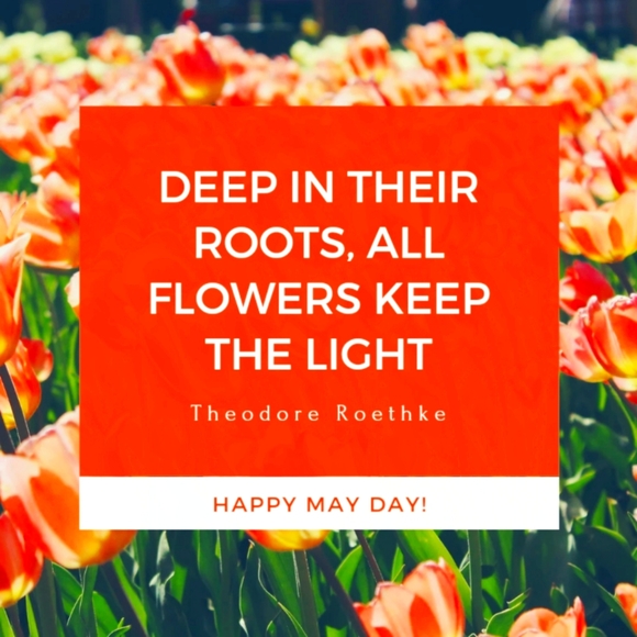 sale - Picture 4 of 16